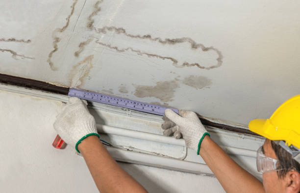 Reliable Flood Cleanup contractor in Wellington, KS by Water Damage Irwin